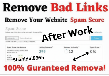 I will Identify and Disavow bad backlinks or All Toxic and Spammy Backlinks to Save Your Site