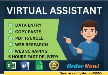 I will do Expert Excel Data Entry, Web Research and Data Collection within 5 Hours