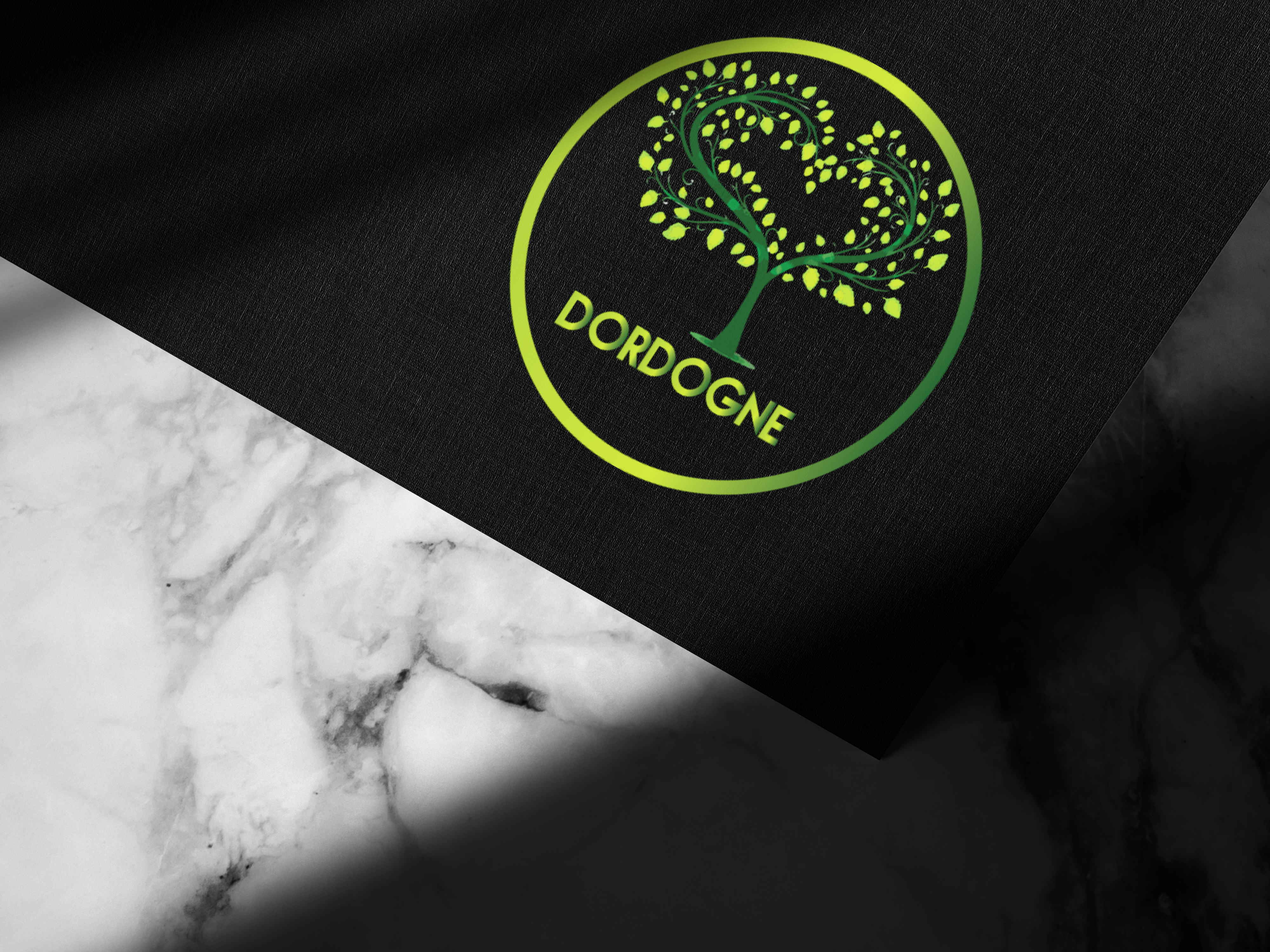 I will create a business minimalist logo with profess...