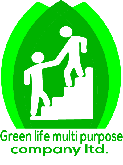 I will design minimalist logo for your company