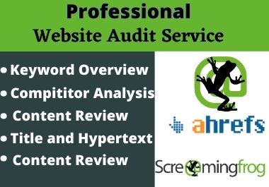 Professional website SEO audit report with screaming ...