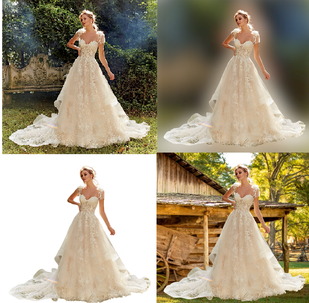 I will do professional background removal & chang...