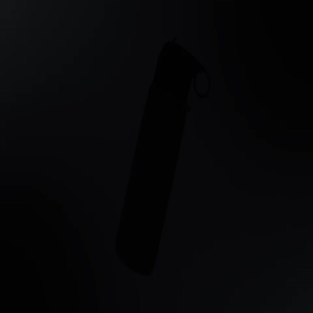 Motion Graphic Professional Videos