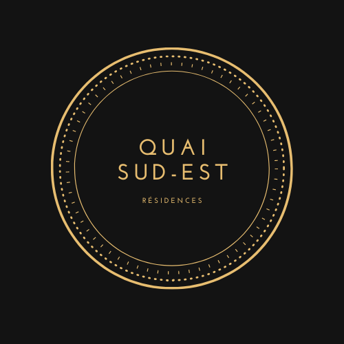 i will creat a professional logo design 