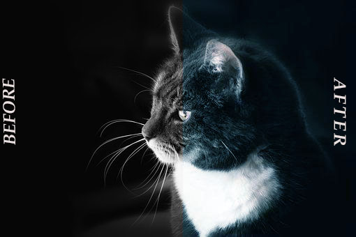 I can convert B&W Image Into a Natural Colour Image