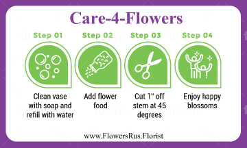 I will design an unique info graphic with your content