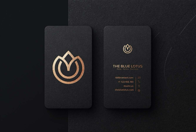 I will design a professional business logo in 24 hour