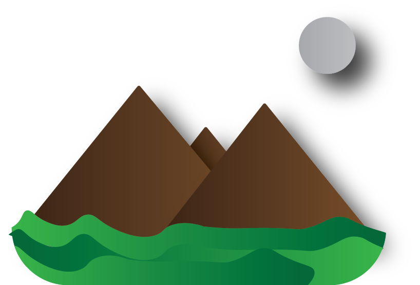 ill do any kind of illustration for you 