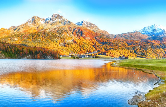 I can provide you 100 royalty free images with product photography