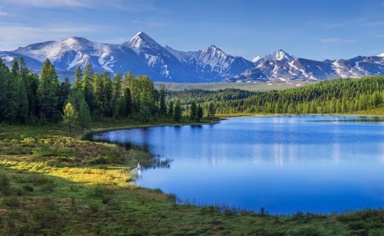 I can provide you 100 royalty free images with product photography