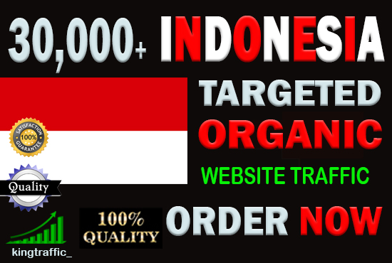 30,000 High Quality Indonesian web visitors real targ...