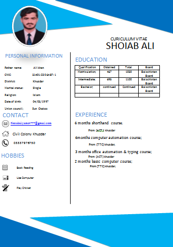 Professional Resume Maker and rewrite and designer fo...