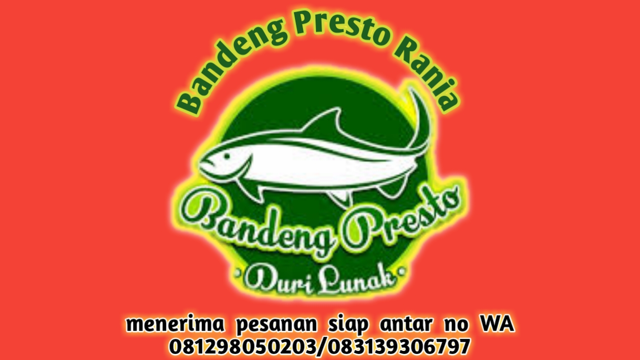 any business logo or logo creation services you want