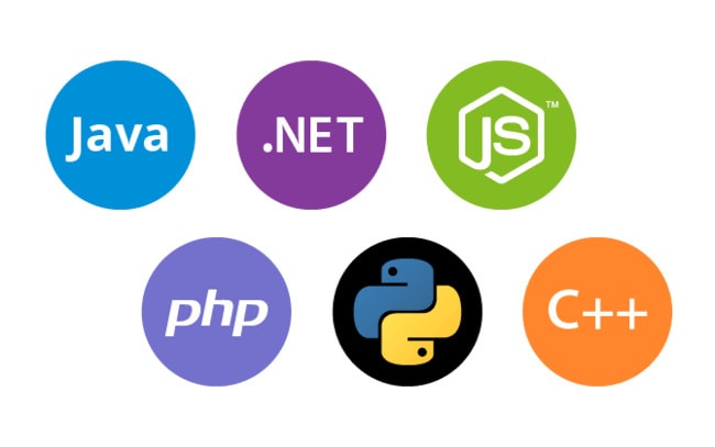 I will make Assignments of C +, Java Python, Data St...