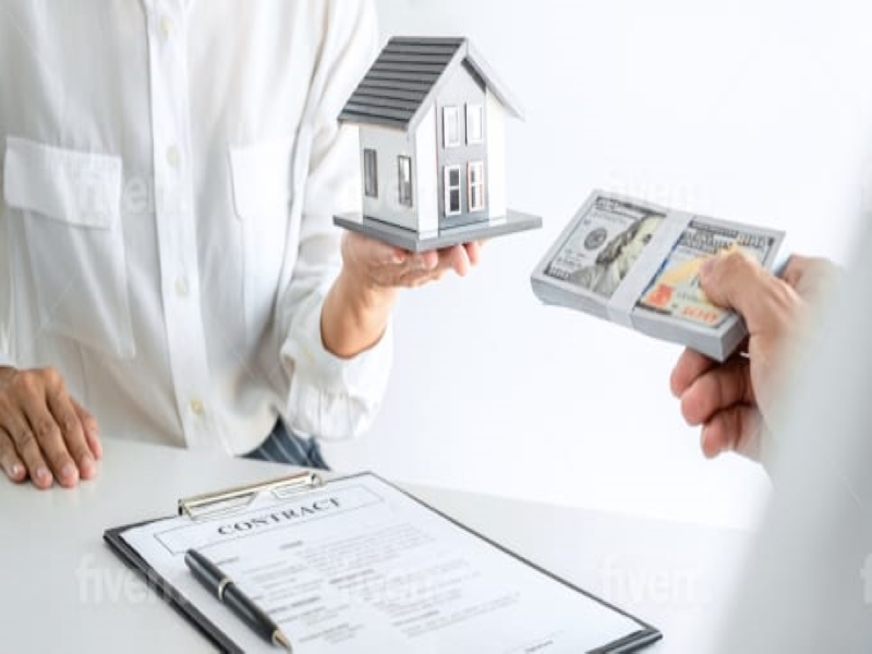 I will write SEO blog posts and articles for your website