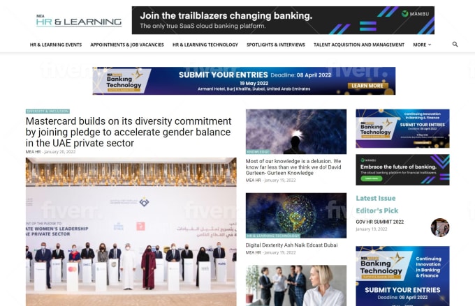 I will create magazine website by newspaper wordpress theme