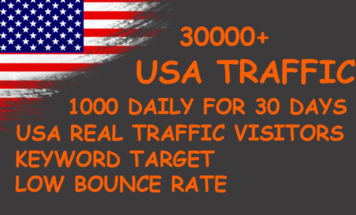 Delivery usa real keyword target website traffic visitors