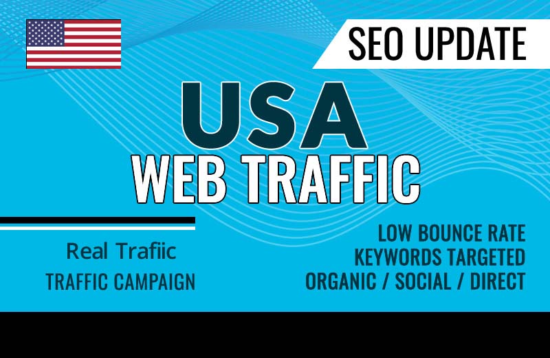 I will drive real SEO google organic targeted USA web traffic promo