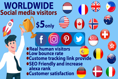 Real Organic Keyword Targeted Web Traffic Daily Visitors