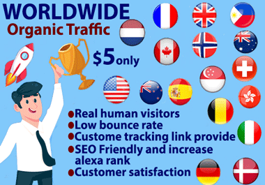 Real Organic Keyword Targeted Web Traffic Daily Visit...