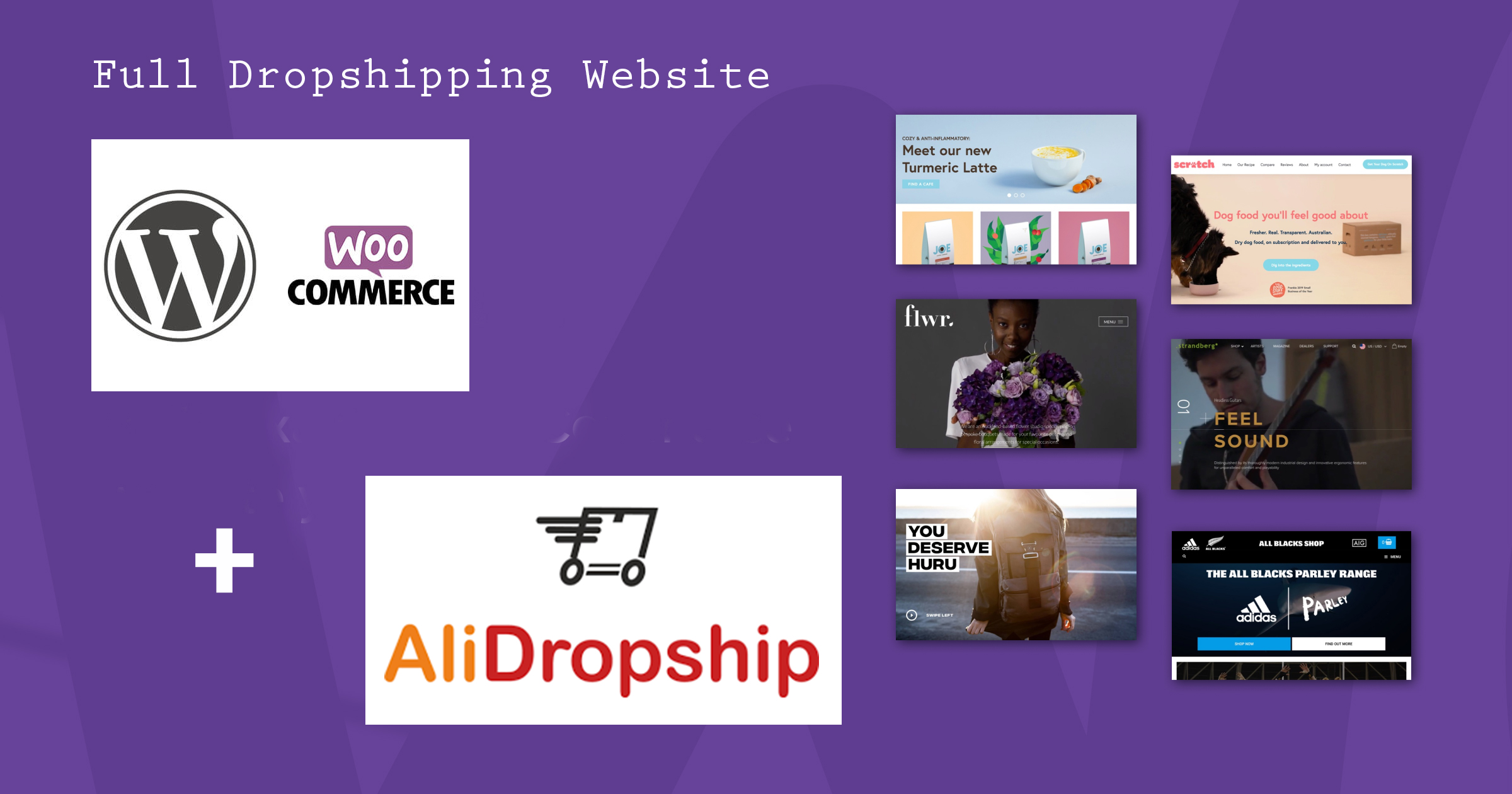 Fully Optimized Dropshipping Website with WordPress, ...