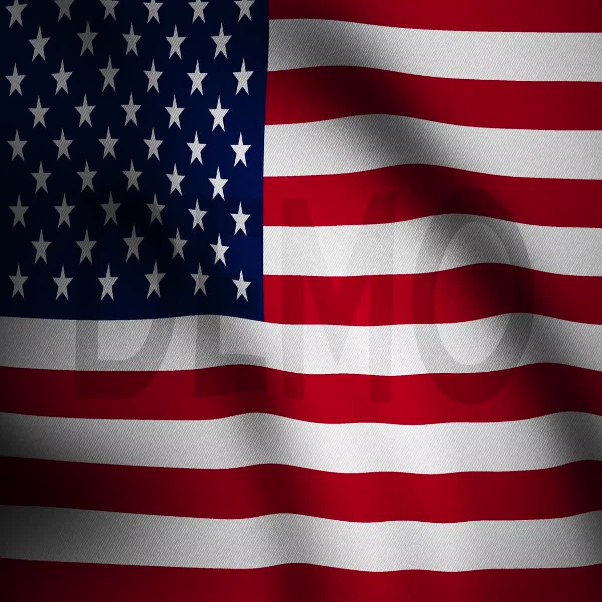 I will make 4K flag animation for your company