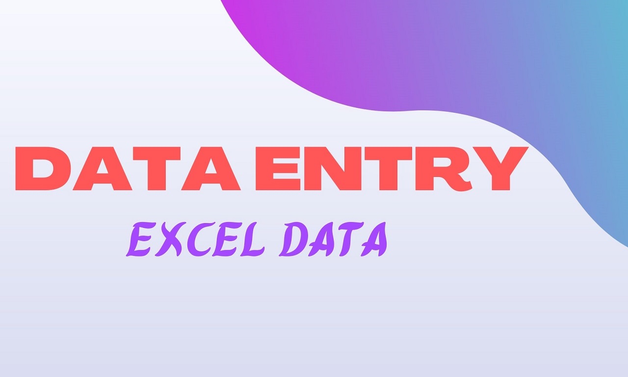 I will provide fast data entry, PDF to excel, web r...
