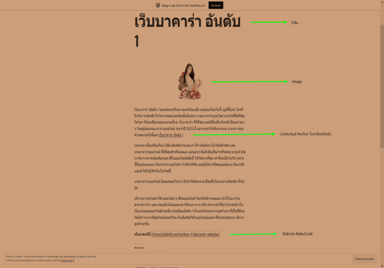 I will create 200 high quality manual dofollow contextual link building