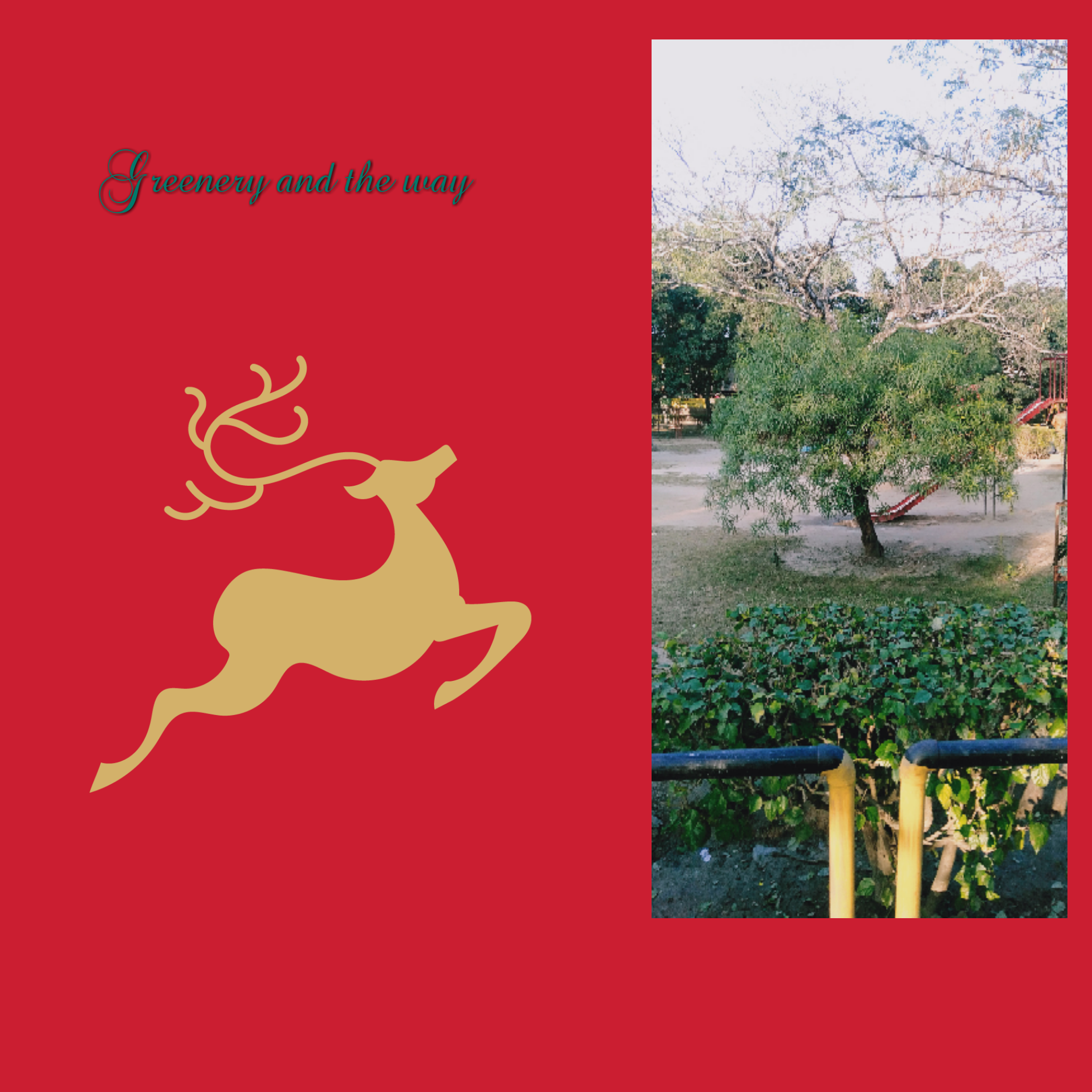 UNIC LOGOMAKER & advance graphic designer