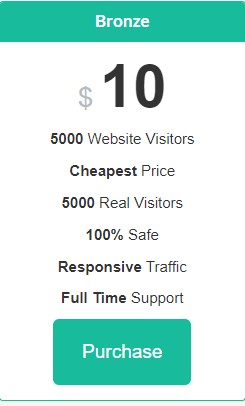I will send 5000 real USA web traffic visitors to your website & promote ad banner for free!