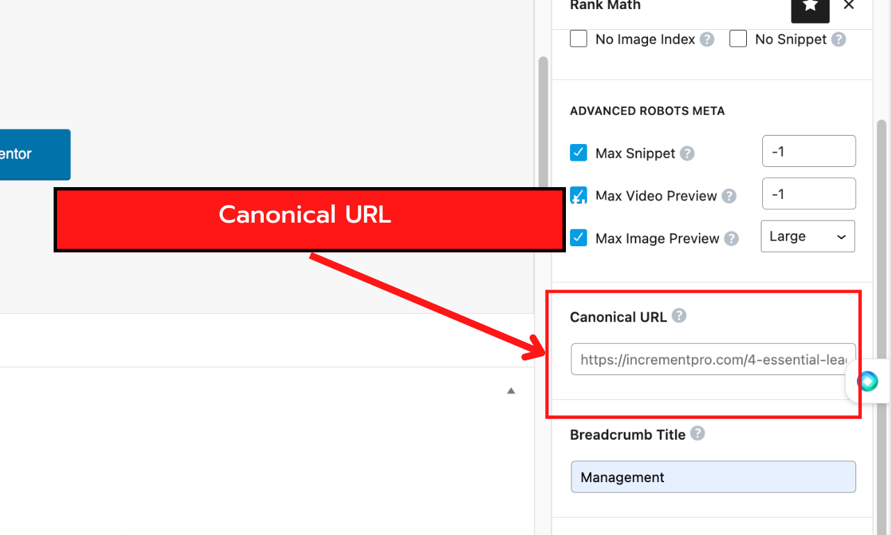 5 pages Wordpress Onsite SEO optimization for better ranking