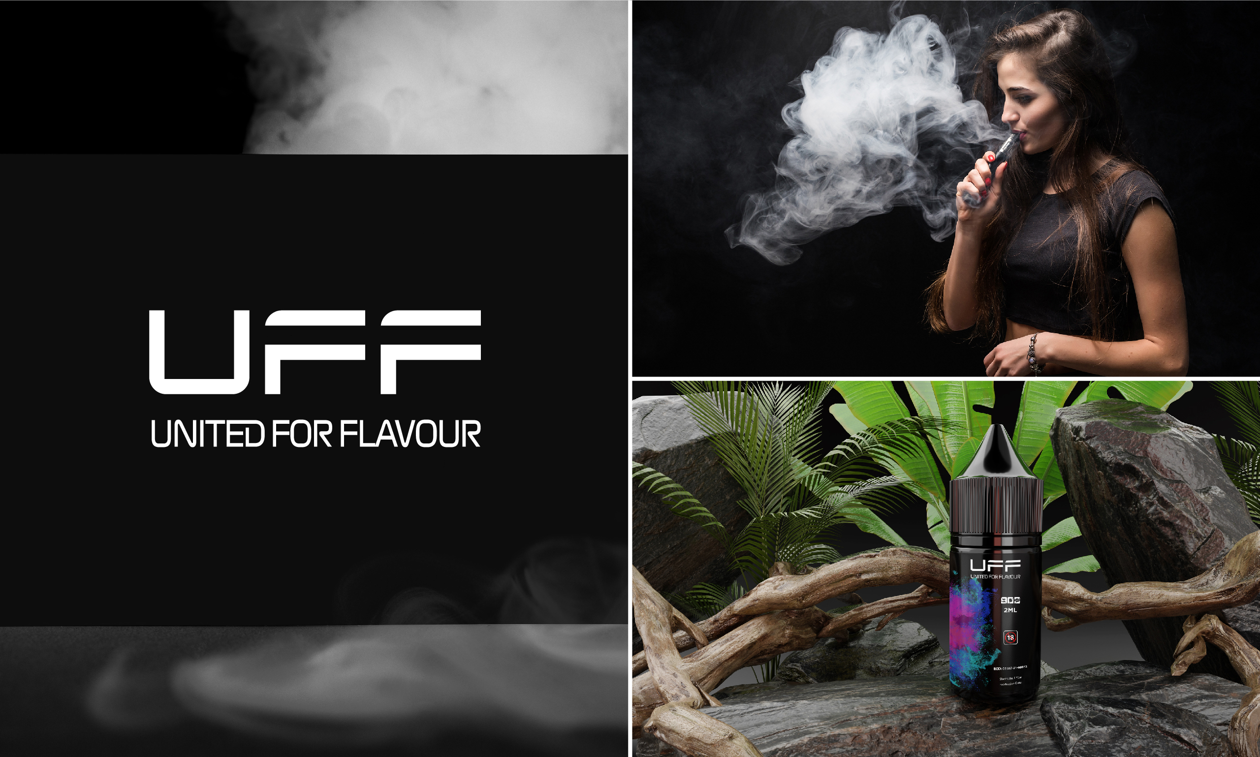 I will design your professional brand logo