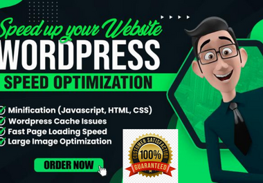 I will increase wordpress speed optimization, wordpress speed in pagespeed and gtmetrix