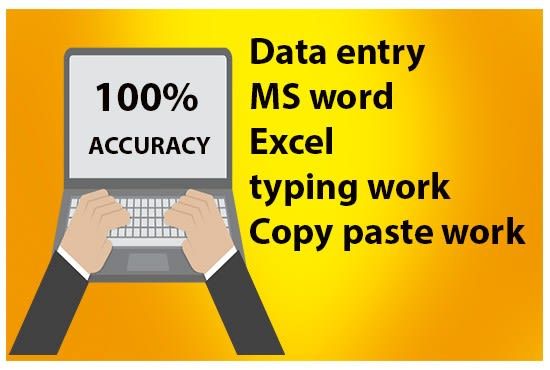 i will do data entry,ms excel/word , copy/paste in one day