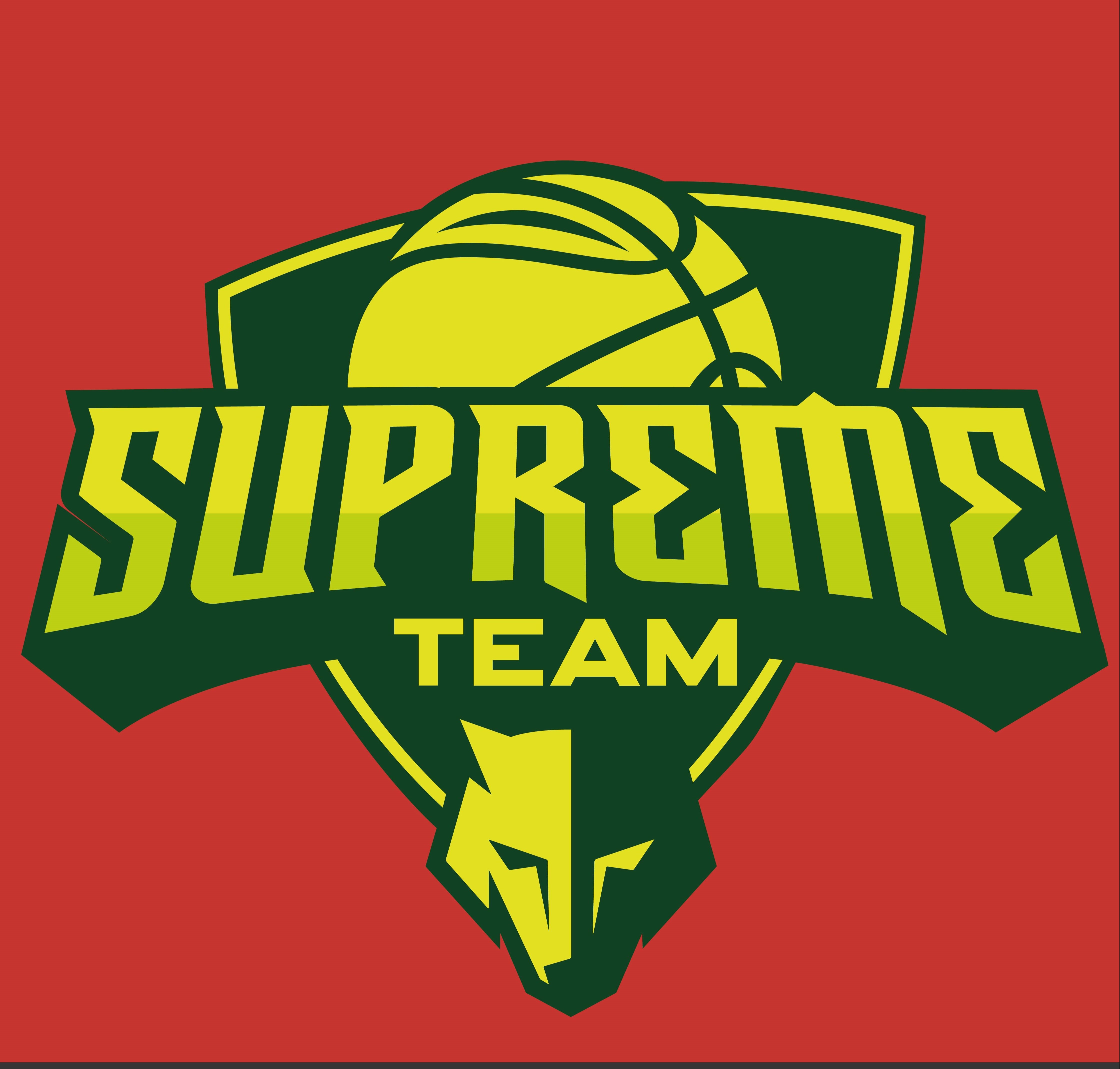 I will design a professional minimalist logo design 2023 special