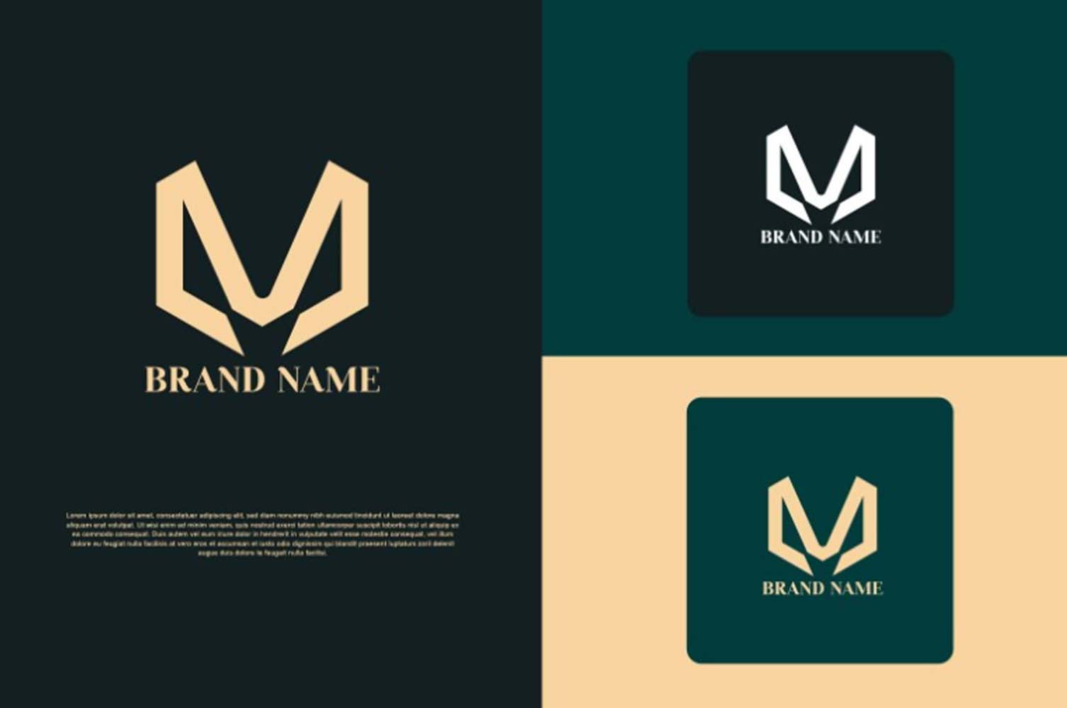 I will do 3 minimalist logo designs and a favicon as a gift