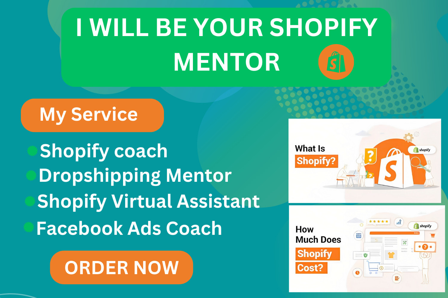 I will be your shopify dropshipping mentor, shopify sales consultant to boost sales