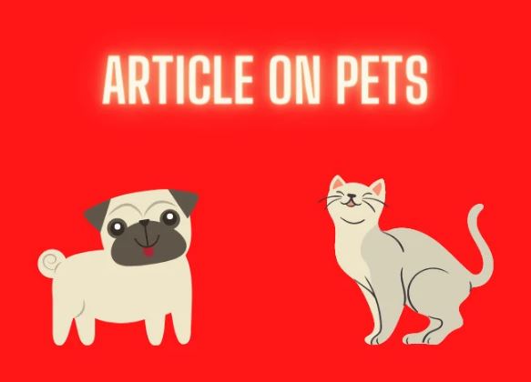 I will write engaging and high quality dog article and pet blog