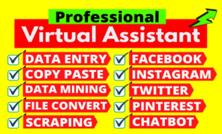 I will be your virtual assistant for excel data entry...