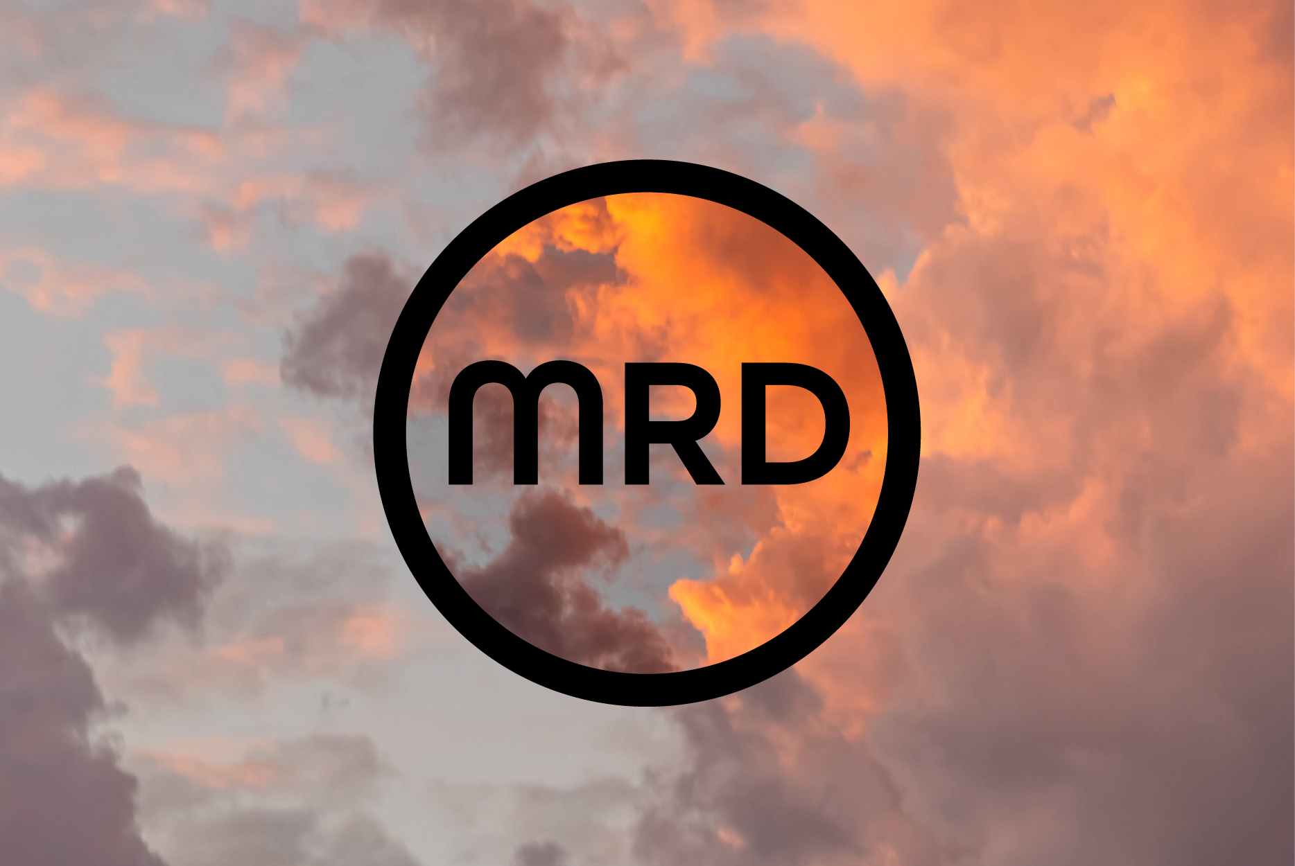 Professional Logo Design - 3 DESIGNS INCLUDED