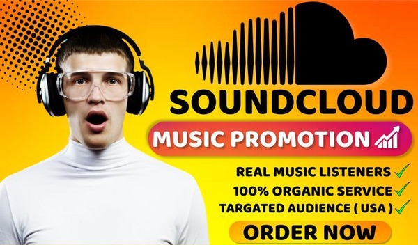  i will do organic music promotion and go viral