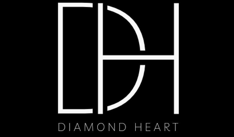 I design high quality and professional logos 