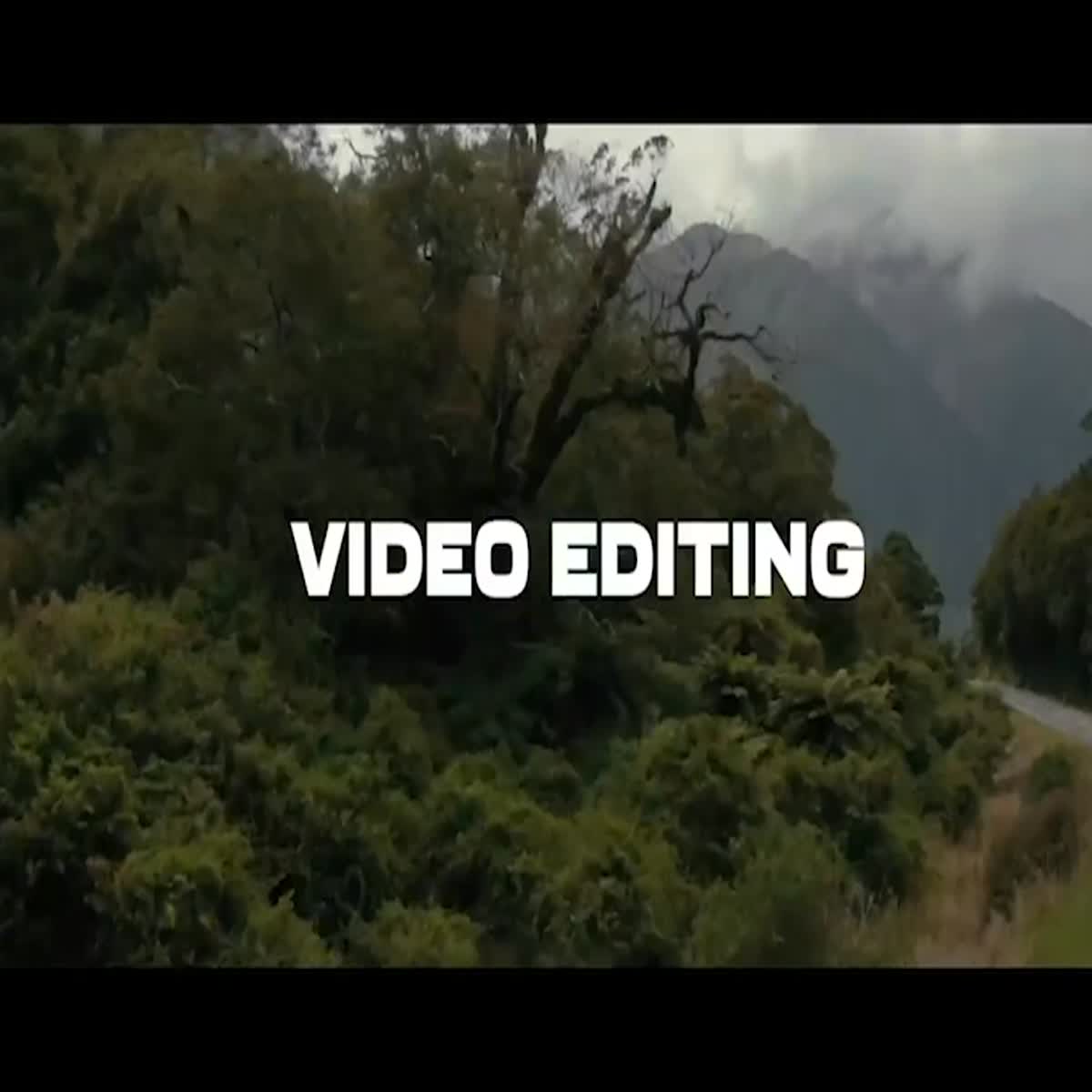 I will do exclusive travel, commercial, wedding vid...