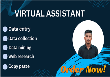 I will do data entry, copy paste, virtual assistant and data collection