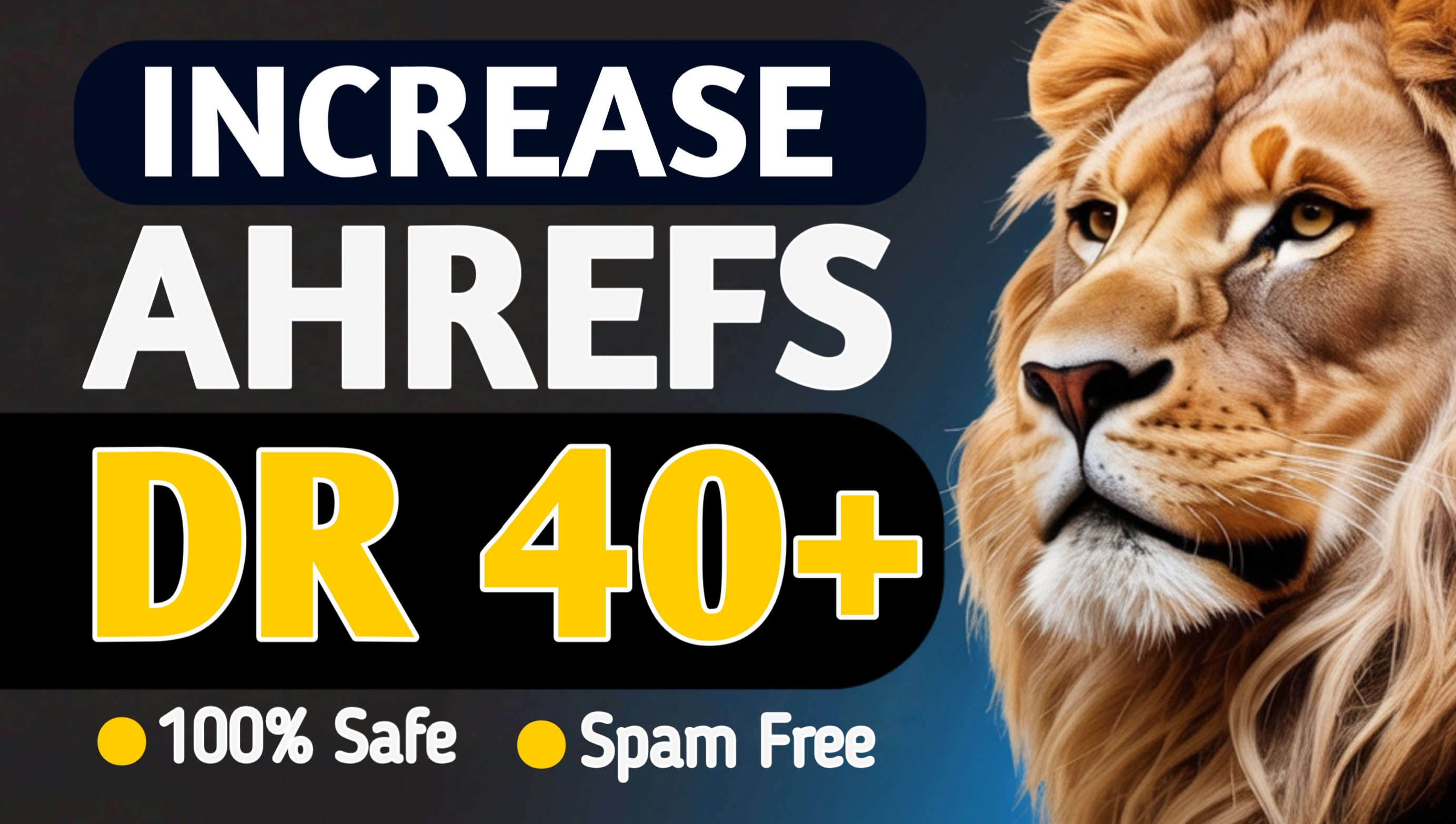 Increase Ahref Dr 40+ domain rating 40+