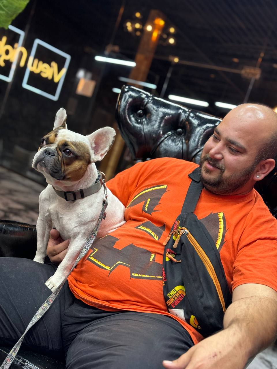 1000 Words Smart and creative Article Writing