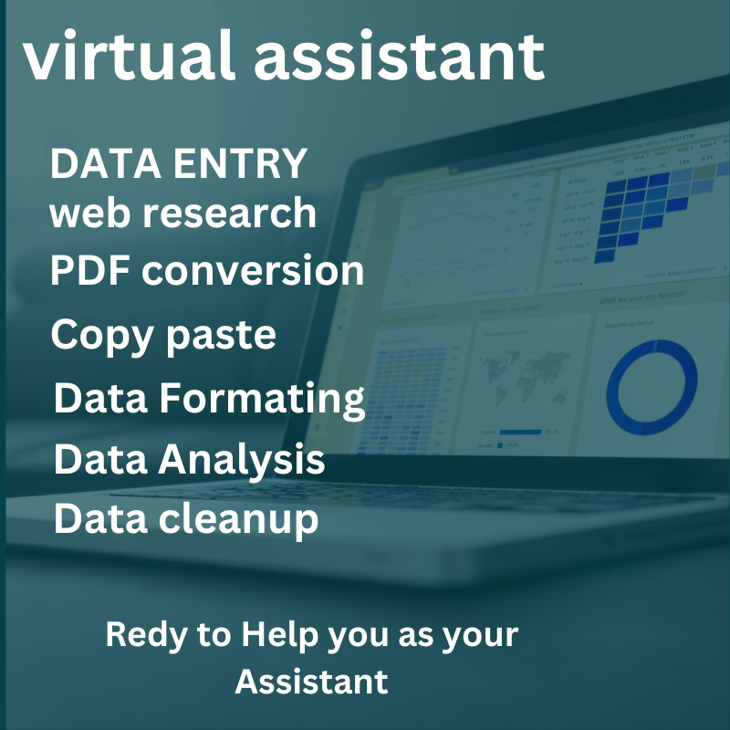 virtual assistant, data entry, copy paste, web res...
