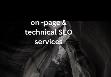 Professional On-Page & Technical SEO Services for...