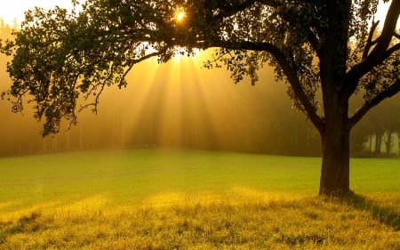 One of the best business card graphic designer in the...