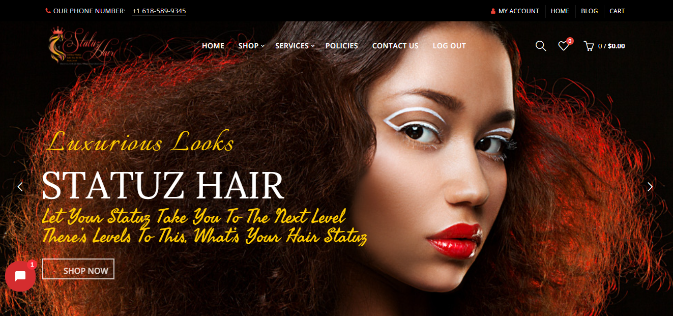 I will make Creative and Responsive WordPress e-Comme...